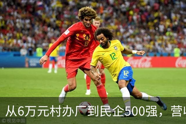 从6万元村办厂到民企500强，营收344亿，河南民企十强，龙成集团