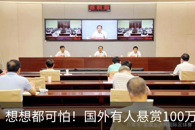 想想都可怕！国外有人悬赏100万，国内13人为其办事，赵冰牵头召集同伙，大咖博主评价此人：非常能闹腾，从30万抬到100万，自己拿了40万