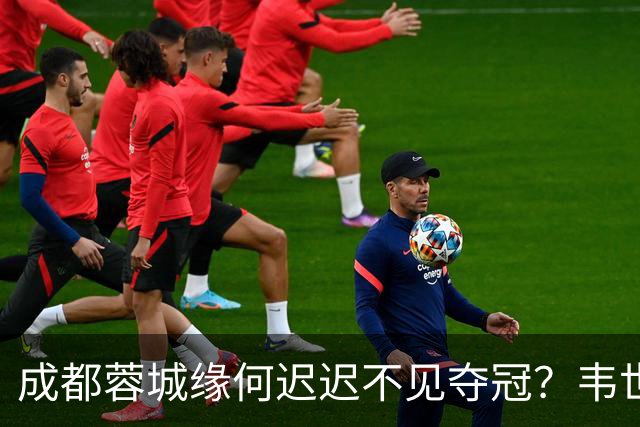 成都蓉城缘何迟迟不见夺冠？韦世豪们挖好的坑，需要一点点填平