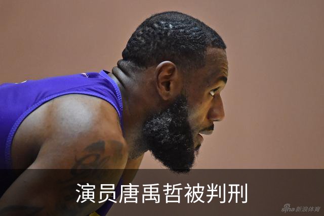 演员唐禹哲被判刑