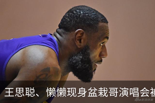 王思聪、懒懒现身盆栽哥演唱会被偶遇，坐在VVIP位置，引热议