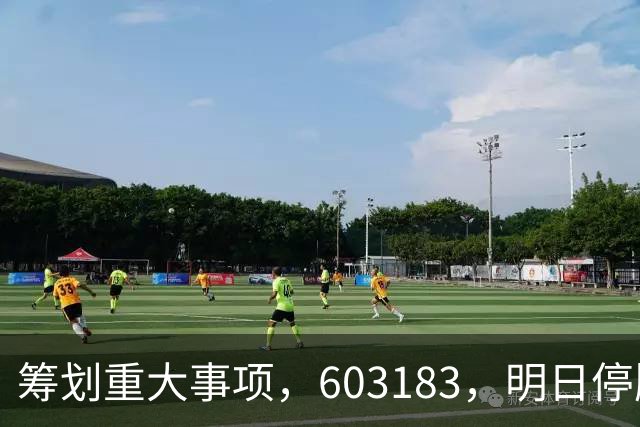 筹划重大事项，603183，明日停牌
