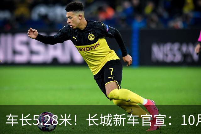 车长5.28米！长城新车官宣：10月19日开启预售