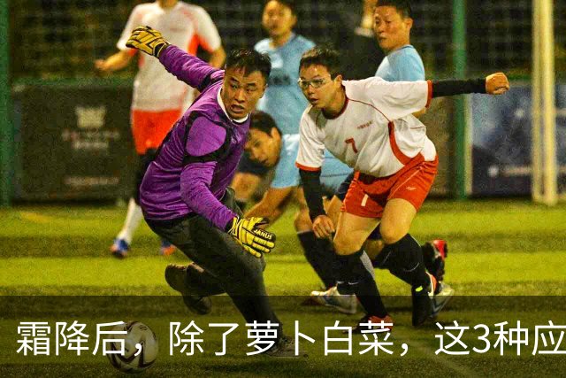 霜降后，除了萝卜白菜，这3种应季蔬菜要多吃，鲜嫩营养，润燥养人，好吃还不贵！